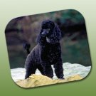 WCFP104D Poodle Black Sport Cut Mouse Pad