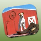 WCFP105A Jack Russell Terrier Smooth Coat Brown & White Mouse Pad