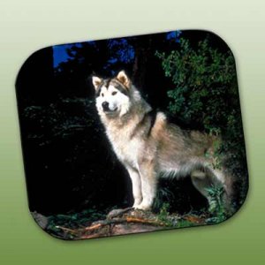 WCFP108 Alaskan Malamute Mouse Pad