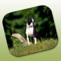 WCFP12 Boston Terrier Mouse Pad