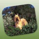 WCFP126 Briard Mouse Pad