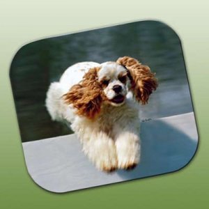 WCFP15D Cocker Spaniel Brown & White Mouse Pad