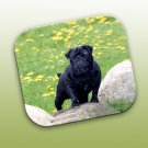 WCFP18B Pug Black Mouse Pad