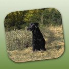 WCFP24A Labrador Retriever Black Mouse Pad
