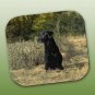 WCFP24A Labrador Retriever Black Mouse Pad