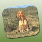 WCFP24B Labrador Retriever Yellow Mouse Pad