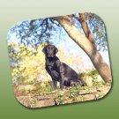 WCFP24C Labrador Retriever Chocolate Mouse Pad