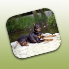 WCFP25A Doberman Mouse Pad