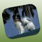 WCFP47B Papillon Black & White Mouse Pad