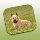 WCFP53B Cairn Terrier Red Mouse Pad