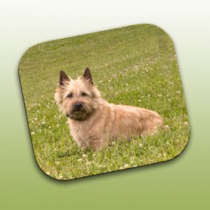 WCFP53B Cairn Terrier Red Mouse Pad