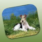 WCFP59 Wire Haired Fox Terrier Mouse Pad