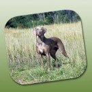 WCFP68 Weimaraner Mouse Pad