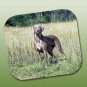 WCFP68 Weimaraner Mouse Pad