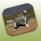 WCFP84A English Setter Mouse Pad