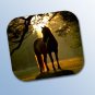 WCHMP03 Horse Silhouette Mouse Pad