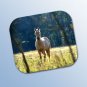 WCHMP06 Horse Standing Mouse Pad