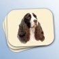 WCMP22A Springer Spaniel Liver & White Mouse Pad