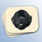 WCMP30 Newfoundland Mouse Pad