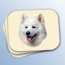 WCMP39 Samoyed Mouse Pad