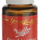 Frankincense (Boswellia carteri)