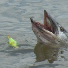 Yellow Rieadco lighted Fishing Bobber bobbers