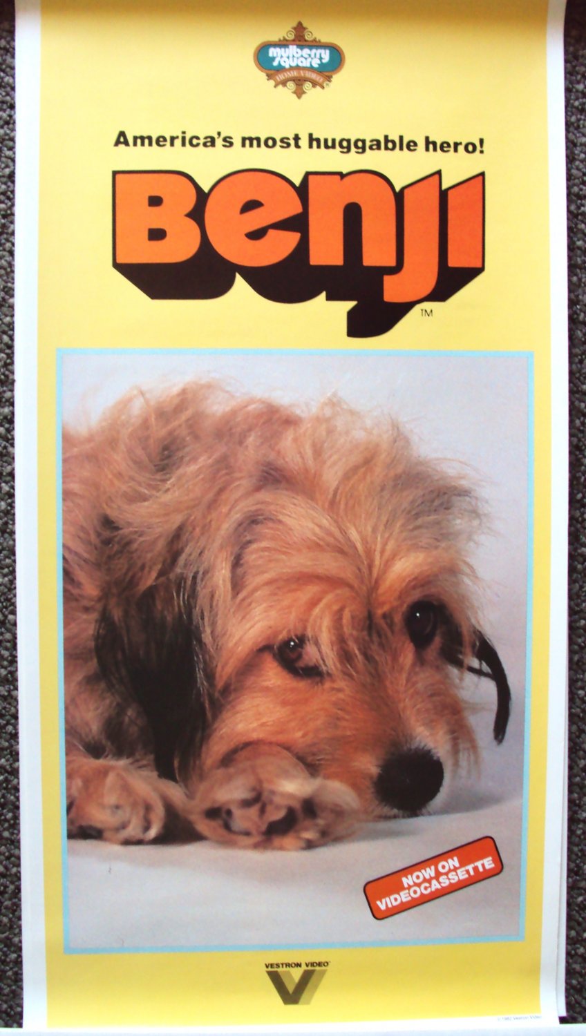 BENJI Original PROMO Dog POSTER Joe Camp Classic Film