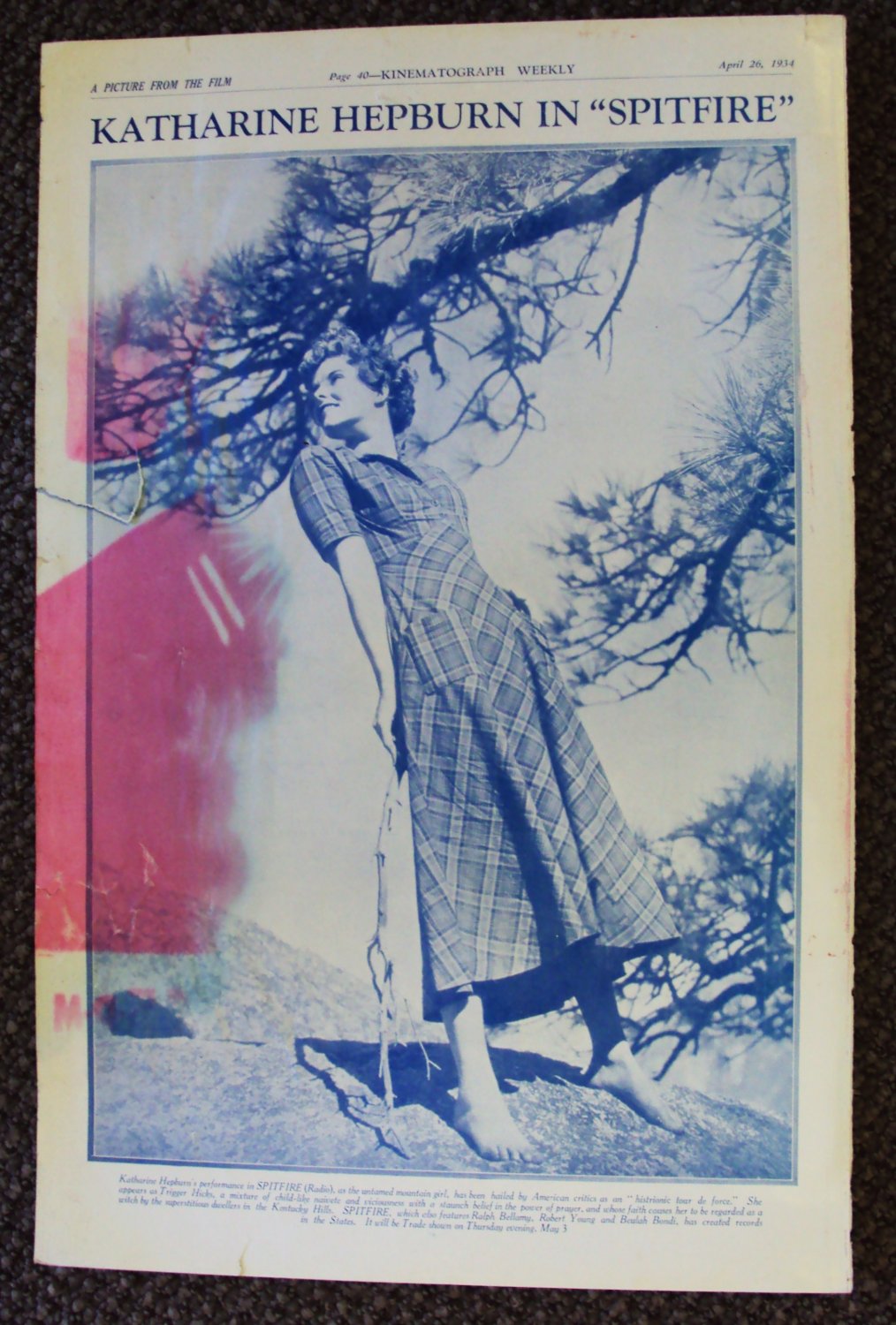 KATHARINE HEPBURN Original 1934 Photo TRADE-AD Spitfire