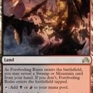 70% OFF - Magic The Gathering - Shadows Over Innistrad - 272 - Foreboding Ruins