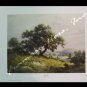 Dalhart Windberg Big Tree 12x16 art print