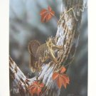 "Fox Squirrel" by Ronald J. Louque 24x20