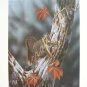 "Fox Squirrel" by Ronald J. Louque 24x20