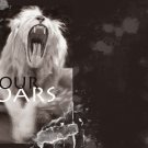 Four Roars