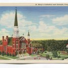 St Marys Cathedral and Grounds Fargo North Dakota Postcard