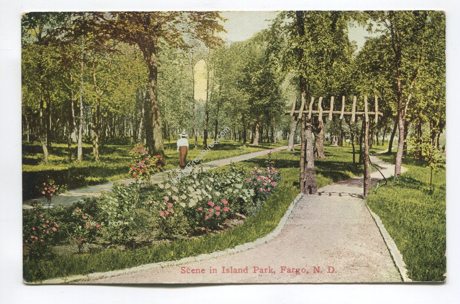 Scene in Island Park Fargo North Dakota Postcard
