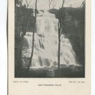 Chittenango Falls Postcard