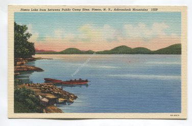 Piseco Lake from between Public Camp Sites Pisceco New York Postcard