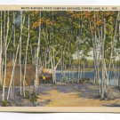 White Birches State Camping Grounds Tupper Lake New York Postcard