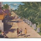 Strolling Along a Promenade in Florida Postcard