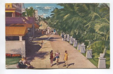 Strolling Along a Promenade in Florida Postcard