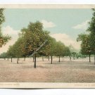 A Florida Orange Grove Postcard