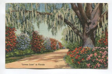 Lovers Lane in Florida Postcard