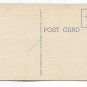 Lovers Lane in Florida Postcard