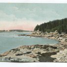 Cow Point Rogue Bluff Maine Postcard