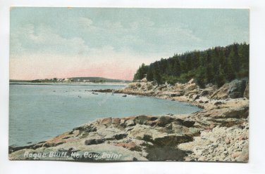 Cow Point Rogue Bluff Maine Postcard