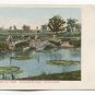 Bridge and Lily Pond Washington Park Milwaukee Wisconsin Postcard