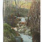 Before the leaves are out Secret Nook Lake Park Milwaukee Wisconsin Postcard