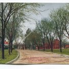 Approach to the State Hospital for the Insane St Peter Minnesota Postcard