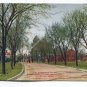 Approach to the State Hospital for the Insane St Peter Minnesota Postcard