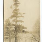 Souvenir of hubert Minnesota Postcard